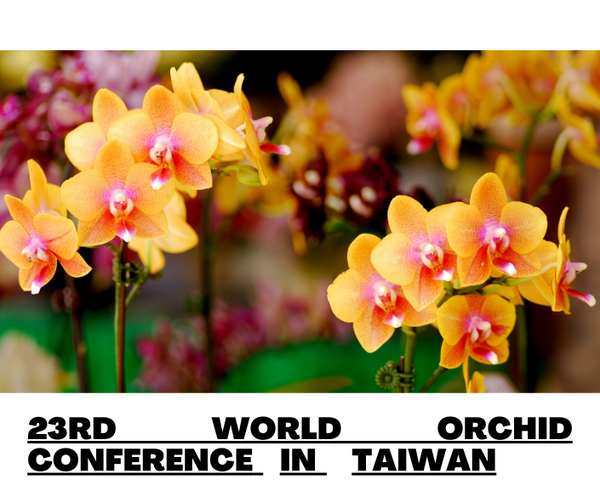 23rd World Orchid Conference in Taiwan